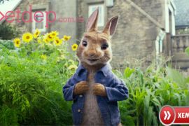 Review phim Thỏ Peter (Peter Rabbit): Hài hước, vui nhộn
