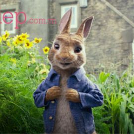 Review phim Thỏ Peter (Peter Rabbit): Hài hước, vui nhộn